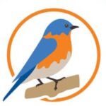 Profile picture of Boly